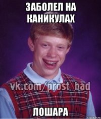 заболел на каникулах лошара