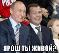  ярош ты живой?