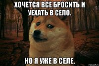 хочется все бросить и уехать в село. но я уже в селе.