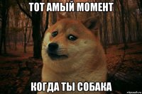 тот амый момент когда ты собака