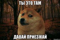 ты это там давай приезжай