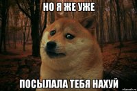 но я же уже посылала тебя нахуй