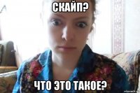 скайп? что это такое?