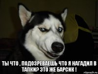 Ты что , подозреваешь что я нагадил в тапки? Это же барсик !