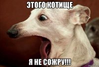 этого котище я не сожру!!!