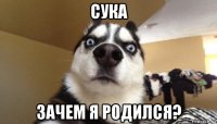 сука зачем я родился?