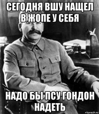 сегодня вшу нащел в жопе у себя надо бы псу гондон надеть