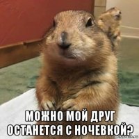  можно мой друг останется с ночевкой?