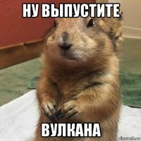 ну выпустите вулкана