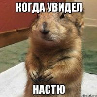 когда увидел настю