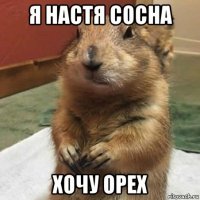 я настя сосна хочу орех