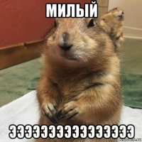 милый ээээээээээээээээ