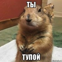 ты тупой