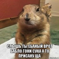  слышь ты ебаный врот бабло гони сука а то присану ща