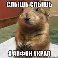 слышь слышь я айфон украл