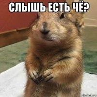 слышь есть чё? 