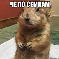 че по семкам 