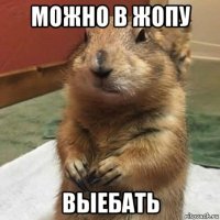 можно в жопу выебать