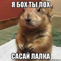 я бох ты лох сасай лалка