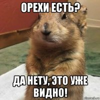 орехи есть? да нету, это уже видно!