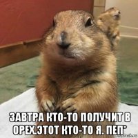  завтра кто-то получит в орех.этот кто-то я. пеп*