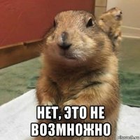  нет, это не возмножно