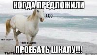 когда предложили проебать шкалу!!!