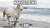 наркология там