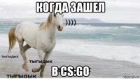 когда зашел в cs:go