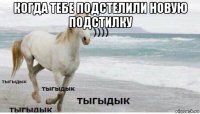 когда тебе подстелили новую подстилку 