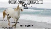 когда зовут вкинуться насиком 