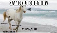 заметил овсянку 