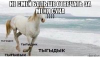 не смей больше отвечать за меня сука 