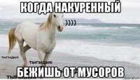 когда накуренный бежишь от мусоров