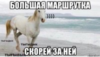 большая маршрутка скорей за ней