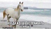  когда идешь устраивать терракт