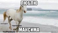 люблю максима