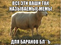 все эти ваши так называемые мемы для баранов бл**ь