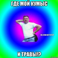 где мой кумыс и травы!?