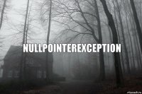 NullPointerException