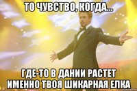 то чувство, когда... где-то в дании растет именно твоя шикарная елка