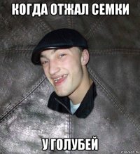 когда отжал семки у голубей