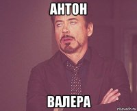 антон валера