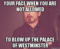 your face when you are not allowed to blow up the palace of westminster