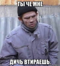 ты че мне дичь втираешь.