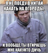 я не поеду в китай какать на огороды, и вообще,ты втираешь мне какуйто дичь