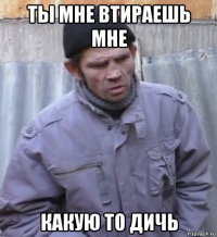 ты мне втираешь мне какую то дичь