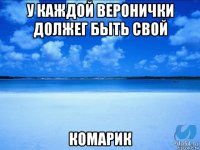 у каждой веронички должег быть свой комарик