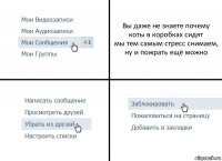 Вы даже не знаете почему коты в коробках сидят
мы тем самым стресс снимаем, ну и пожрать ещё можно