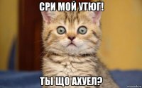 сри мой утюг! ты що ахуел?